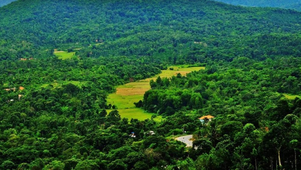 Ooty