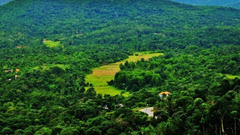 Ooty